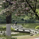 合肥旅游 缩略图 6