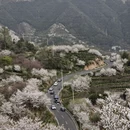 绍兴旅游 缩略图 4