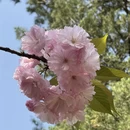 合肥旅游 缩略图 7