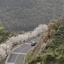 绍兴旅游 缩略图 5