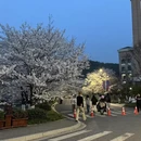 绍兴旅游 缩略图 1
