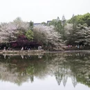 南昌旅游 缩略图 5