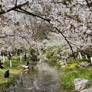 合肥旅游 缩略图 1