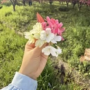 合肥旅游 缩略图 12