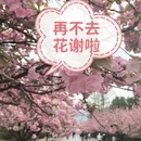 合肥旅游 缩略图 1