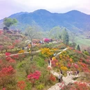 上饶旅游 缩略图 4
