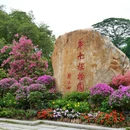 广州旅游 缩略图 7