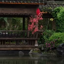 黄山旅游 缩略图 2