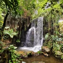 广州旅游 缩略图 1