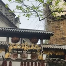 上饶旅游 缩略图 14