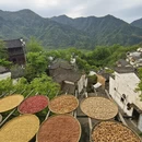 上饶旅游 缩略图 15