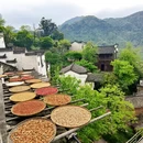 上饶旅游 缩略图 16