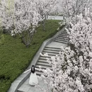 郑州旅游 缩略图 4