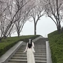 郑州旅游 缩略图 5