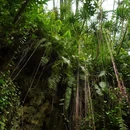 广州旅游 缩略图 15