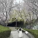 郑州旅游 缩略图 6