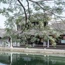 绍兴旅游 缩略图 8