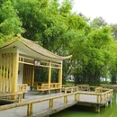 广州旅游 缩略图 16