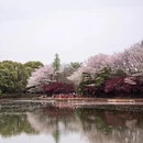 南昌旅游 缩略图 13