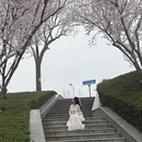 郑州旅游 缩略图 7
