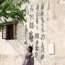 绍兴旅游 缩略图 5