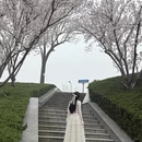 郑州旅游 缩略图 2