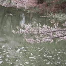 南昌旅游 缩略图 7