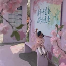 绍兴旅游 缩略图 1
