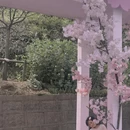绍兴旅游 缩略图 2