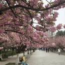 合肥旅游 缩略图 3