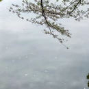南昌旅游 缩略图 9
