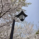 合肥旅游 缩略图 4
