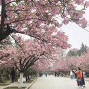 合肥旅游 缩略图 4
