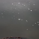 南昌旅游 缩略图 10