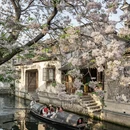 绍兴旅游 缩略图 1
