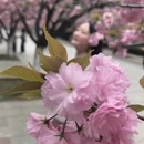 合肥旅游 缩略图 5