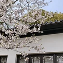 合肥旅游 缩略图 6