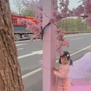 绍兴旅游 缩略图 5
