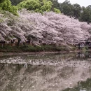 南昌旅游 缩略图 11