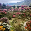 上饶旅游 缩略图 3
