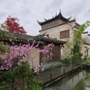 黄山旅游 缩略图 1