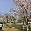 合肥旅游 缩略图 14