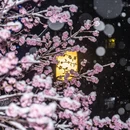 郑州旅游 缩略图 5
