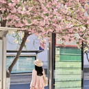 郑州旅游 缩略图 1