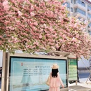 郑州旅游 缩略图 3