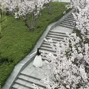 郑州旅游 缩略图 8