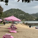 绍兴旅游 缩略图 14
