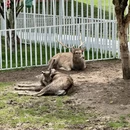 绍兴旅游 缩略图 15