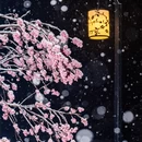 郑州旅游 缩略图 1