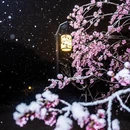 郑州旅游 缩略图 3